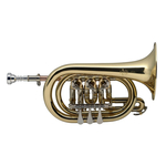 Корнет Stagg 77-TCR